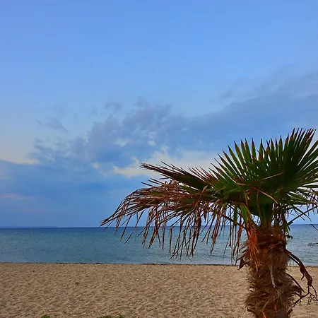 Mente Libre Aparthotel Nea Plagia