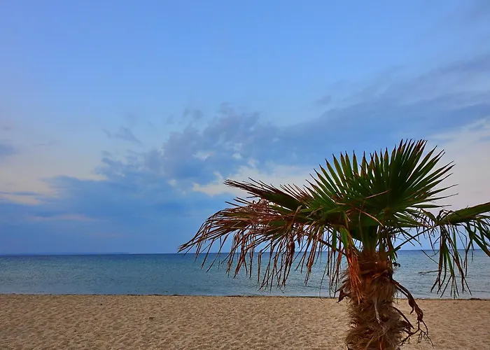 Mente Libre Apartahotel Nea Plagia